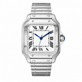 Luxury Watch WL061